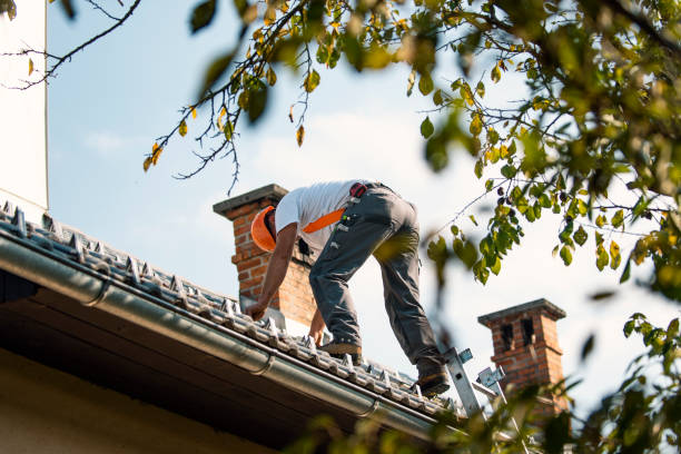 Best Emergency Roof Repair  in East Moline, IL