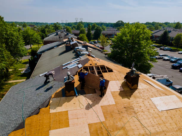 Best Metal Roofing Contractor  in East Moline, IL